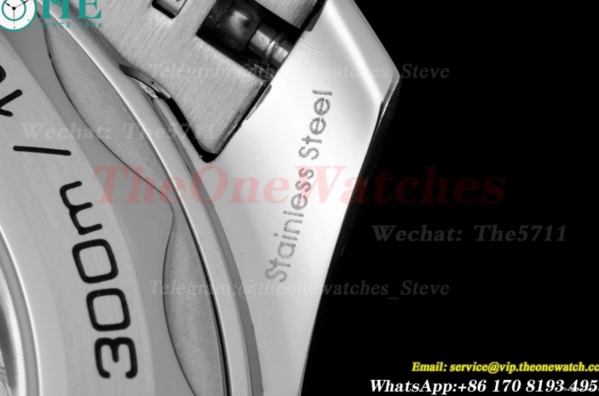 Seamaster Wht A8800 SS SS blue 300m 42mm JVSF 0112